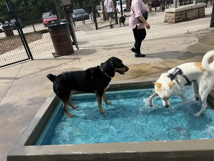 Bonnie Wenk Park Dog Park 8