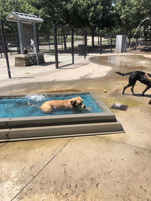 Bonnie Wenk Park Dog Park 2