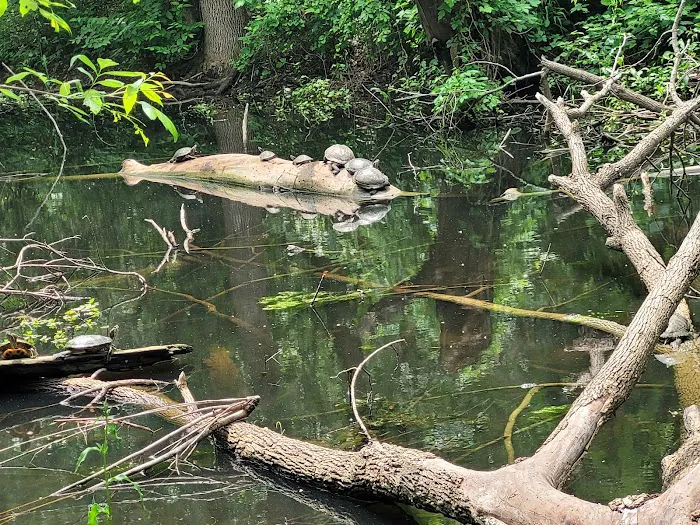 Bonnie Wenk Park Dog Park 10