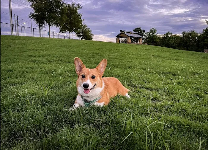 Ruff Range Dog Park 7