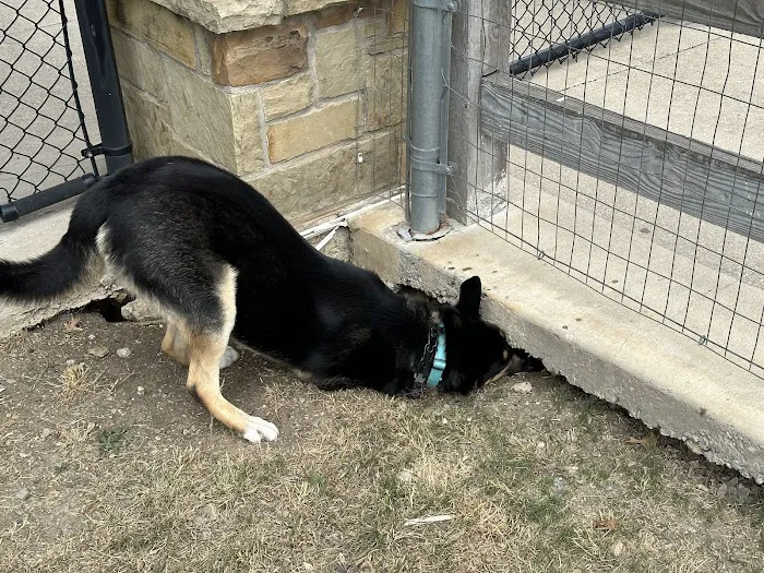 Ruff Range Dog Park 2