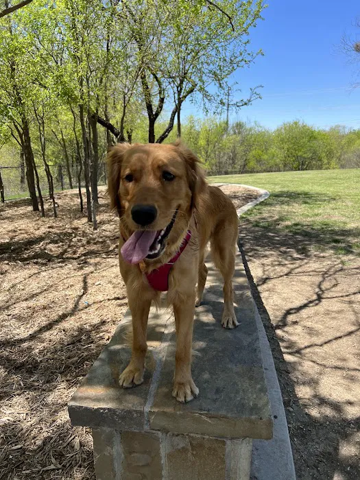 Ruff Range Dog Park 9