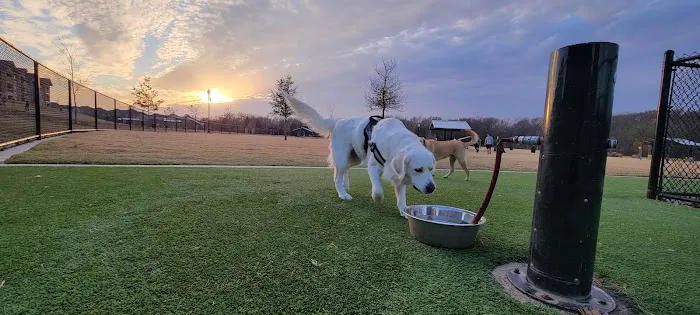 Wood Family Dog Park 8