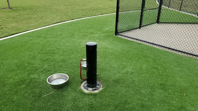 Wood Family Dog Park 6
