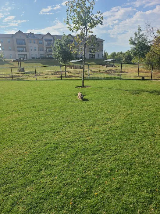 Wood Family Dog Park 9