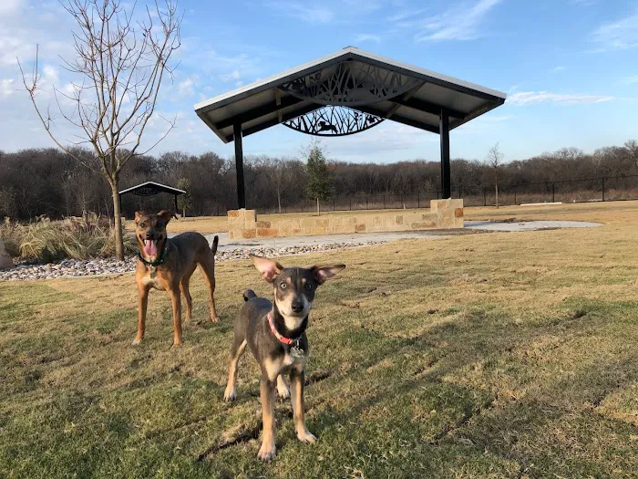 Wood Family Dog Park 1