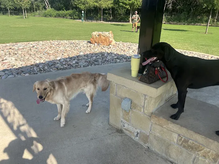 Little Elm Dog Park (Splash Zone) 6