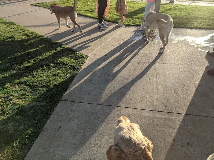 Briarhill dog park 4