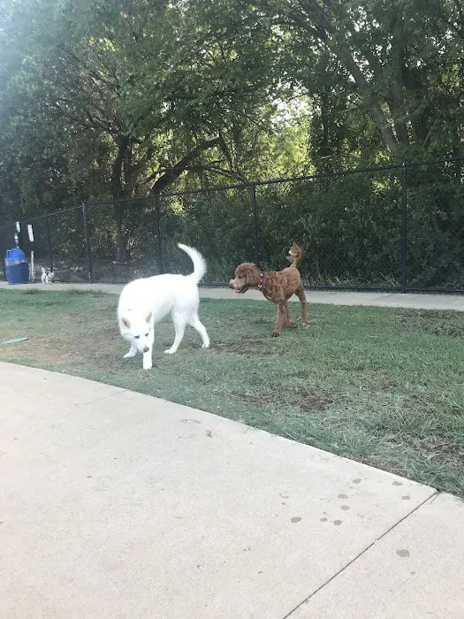 Briarhill dog park 8