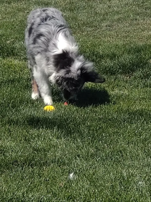 Dog Park at Unity Park 5