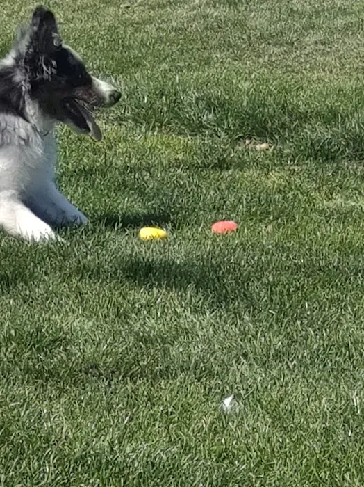 Dog Park at Unity Park 2