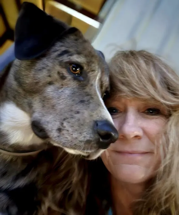 The Bark Park 2