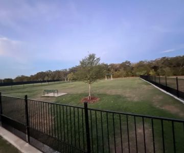 The Bark Park
