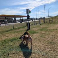 Dog Park at Love's Travel Stops ico