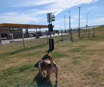 Dog Park at Love's Travel Stops
