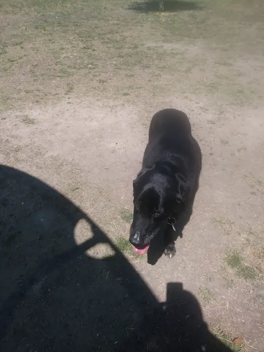 Willow Creek Paw Park 2