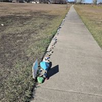 Willow Creek Paw Park ico