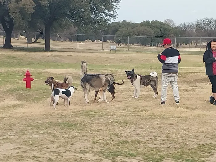Z Bonz Dog Park 6