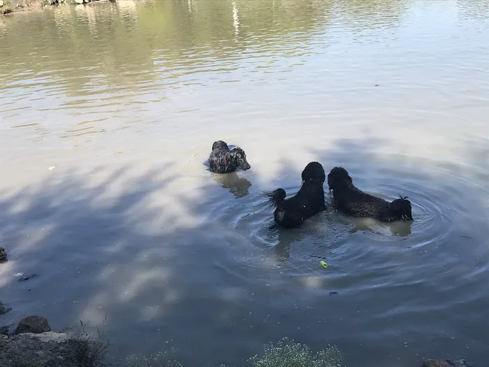 Z Bonz Dog Park 1