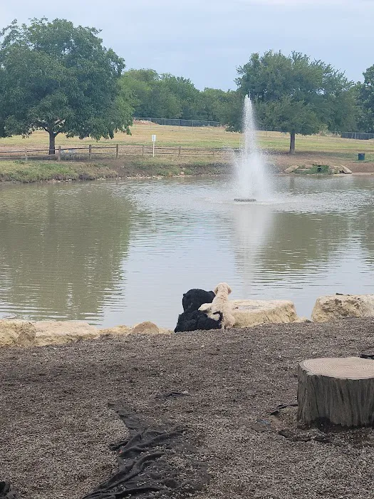 Z Bonz Dog Park 5