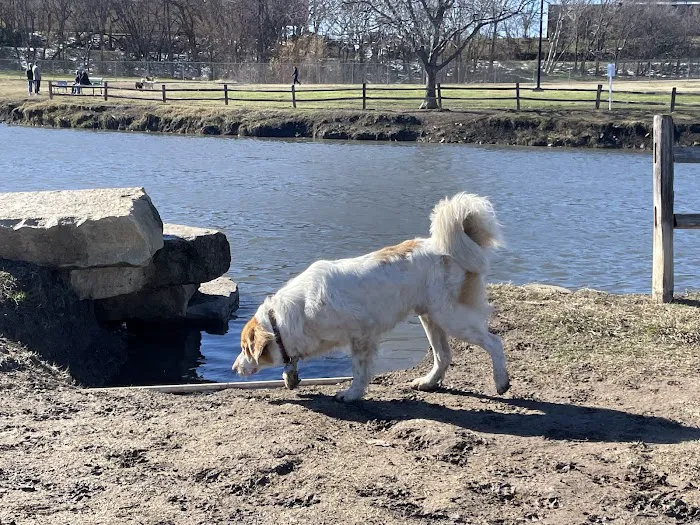 Z Bonz Dog Park 4