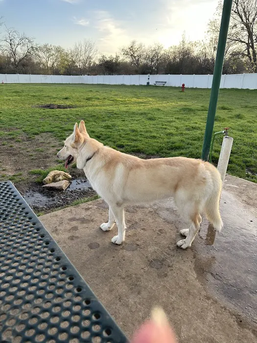 Lake Worth Dog Park 9