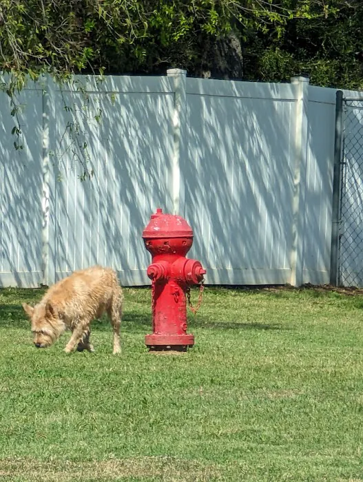 Lake Worth Dog Park 10