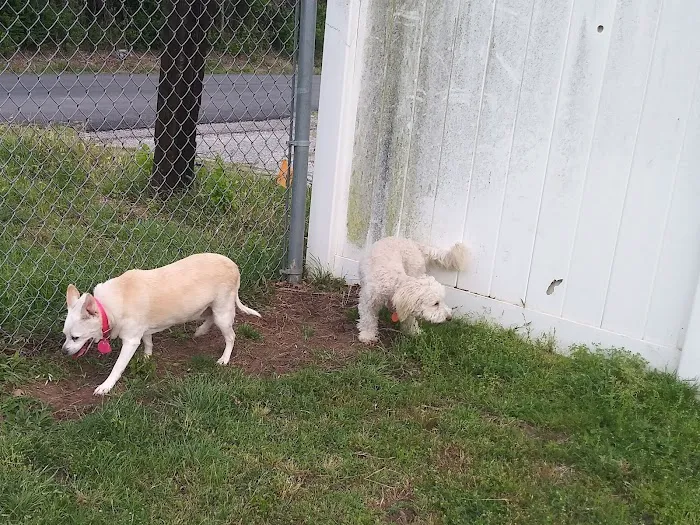 Lake Worth Dog Park 6