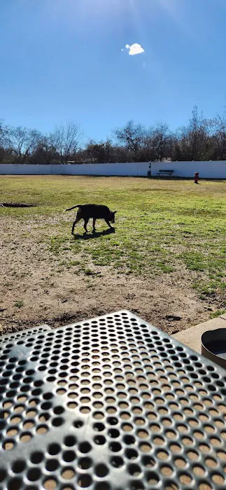 Lake Worth Dog Park 3
