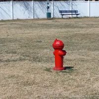 Lake Worth Dog Park ico