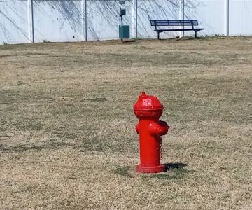 Lake Worth Dog Park