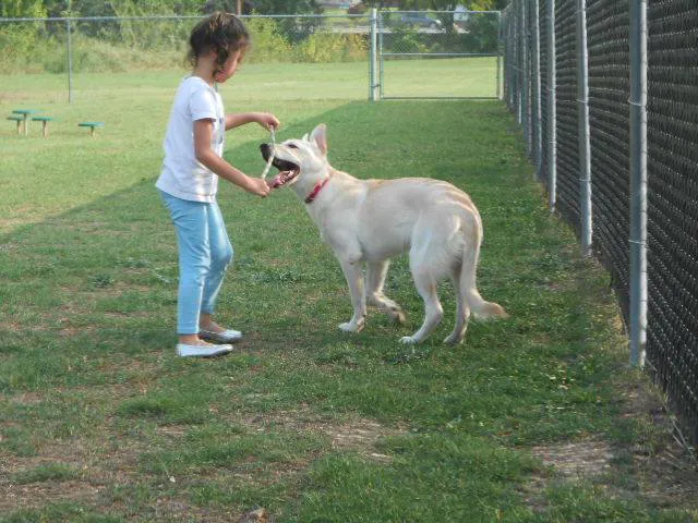 Cherry Lane Dog Park 3