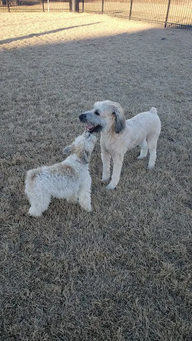 Llano Springs Dog Park 3