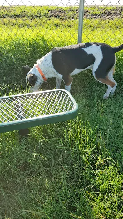 Golden Triangle Dog Park 1