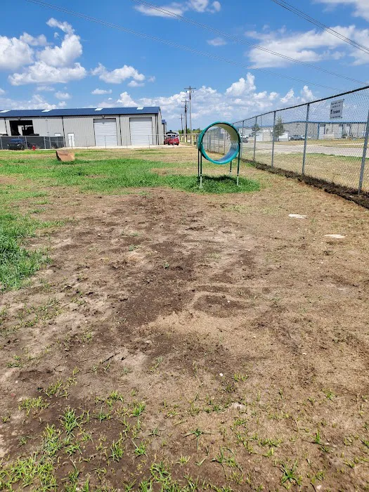 Golden Triangle Dog Park 4