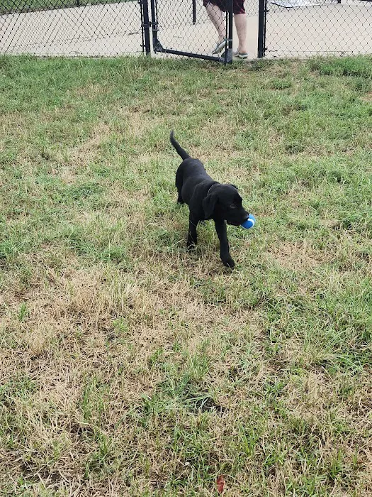 Golden Triangle Dog Park 9