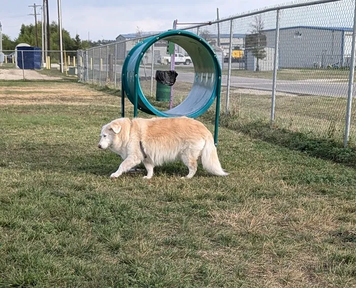 Golden Triangle Dog Park 5