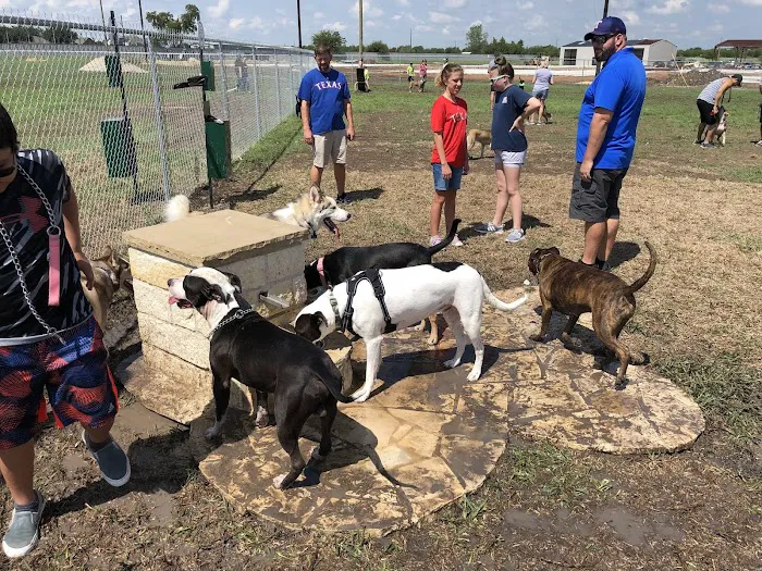 Golden Triangle Dog Park 7