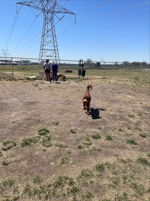 Golden Triangle Dog Park 6