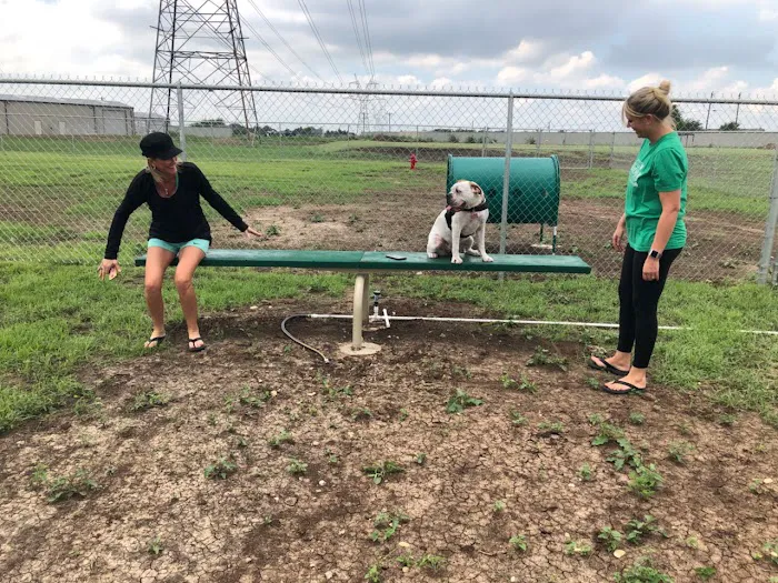 Golden Triangle Dog Park 3