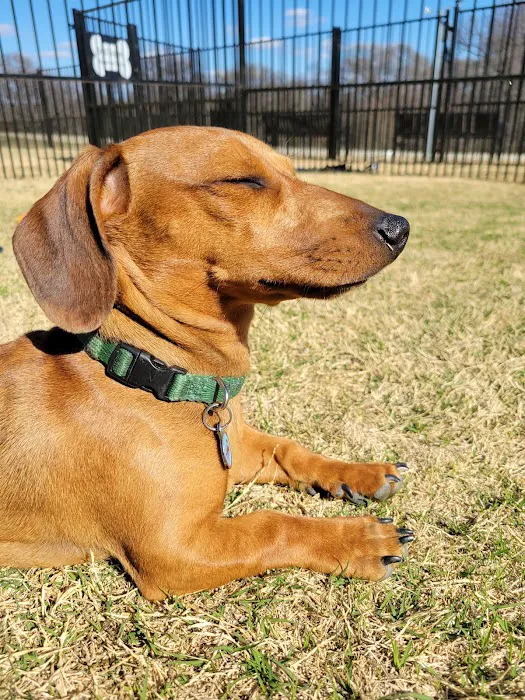 Frisco Hills Dog Park 3