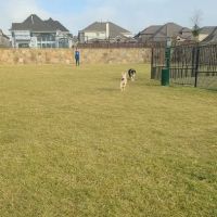 Frisco Hills Dog Park ico