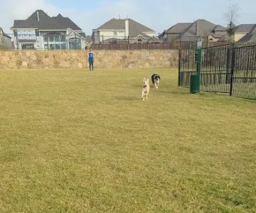 Frisco Hills Dog Park