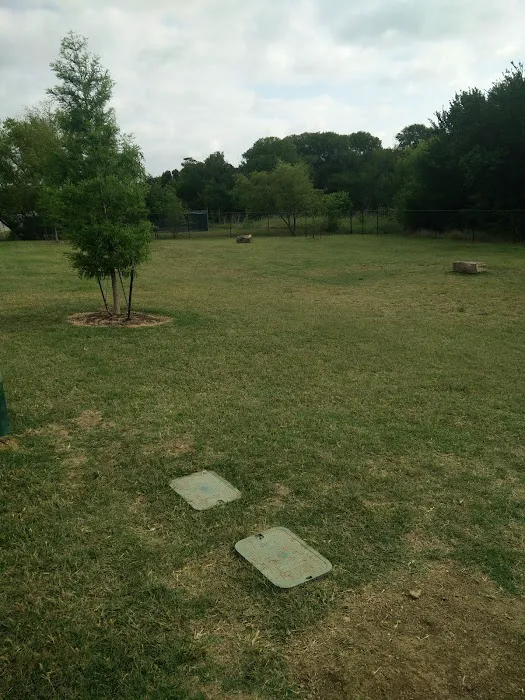 Paloma Creek Dog Park 5