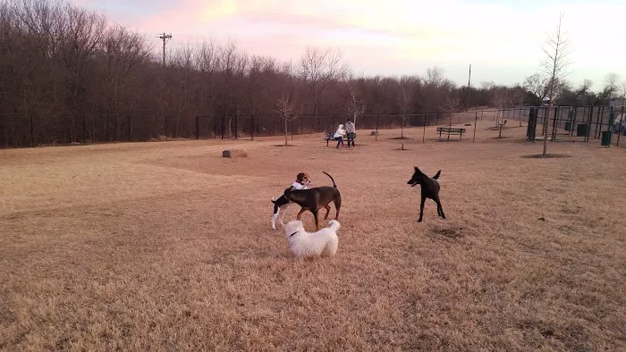 Paloma Creek Dog Park 8