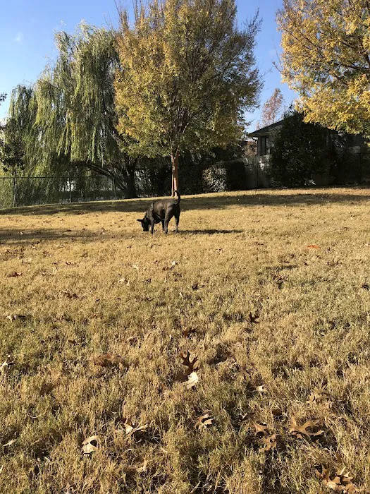 Four Paws Park 8