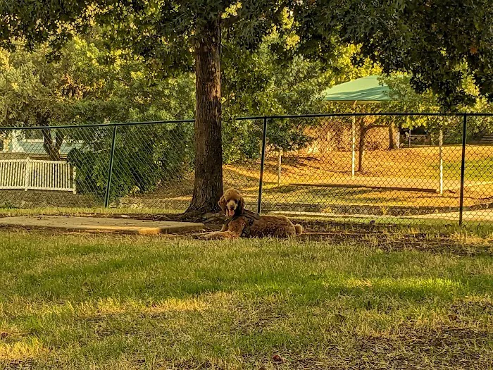 Four Paws Park 5