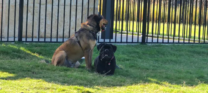 Union Park Bark Park 6