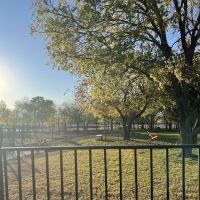 Union Park Bark Park ico