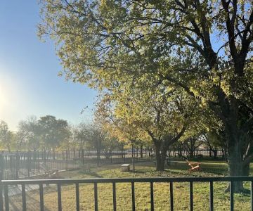Union Park Bark Park